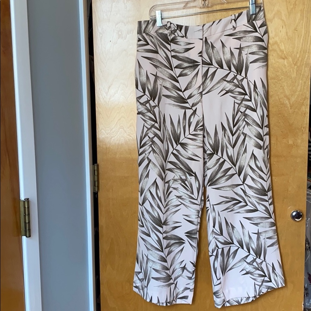 Ann Taylor wide leg pant